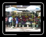 Visite des cimetières