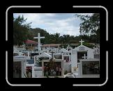 Tour de Terre-de-Haut en mini-bus