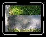 Cimetière de l'Hôpital-Général de Québec - Les morts de la guerre de Sept ans 1755-1760