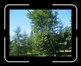 Cimetière St-Charles de Québec