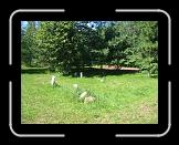Cimetière St-Charles de Québec