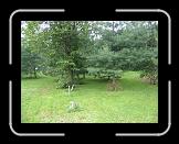 Cimetière St-Charles de Québec