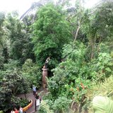 Visite du Eden Project près de St Austell