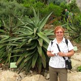 Visite du Eden Project près de St Austell