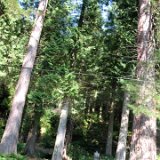 Excursion de Luss and Loch Lomond Drive