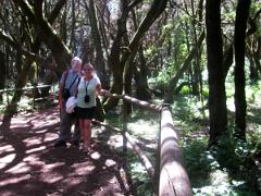 Au centre de l'ile de La Gomera