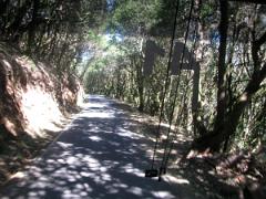 Tournée dans l'ile de La Gomera