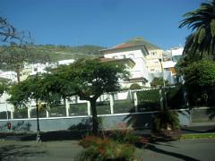 Visite de Santa Cruz de Tenerife