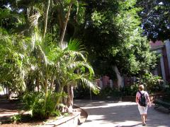 Visite de Santa Cruz de Tenerife