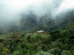 Excursion au nord est de l'ile de Tenerife