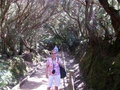 Excursion au nord est de l'ile de Tenerife