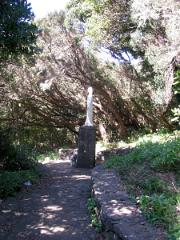 Excursion au nord est de l'ile de Tenerife