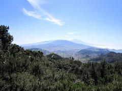 Excursion au nord est de l'ile de Tenerife