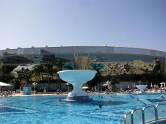 Piscine du Mediterranean Palace