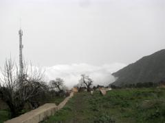 En route vers Icod de Los Vinos