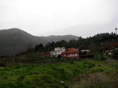 En route vers Icod de Los Vinos