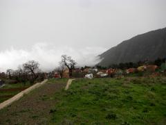 En route vers Icod de Los Vinos