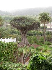 Parc de l'église de San Marcos