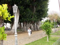 Parc de l'église de San Marcos