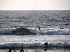 Voyages aux iles Canaries