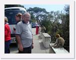 2002:04:19 15:21:30 - Les singes de Gibraltar.