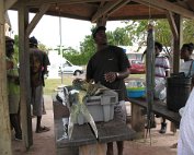 Poissonerie près du port