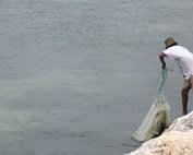 Il pêche de petits possons pour appâter