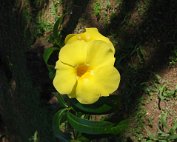 Journée à l'archipel des Saintes