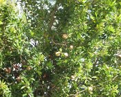 Notre gîte L'Îlet du Vieux-Fort