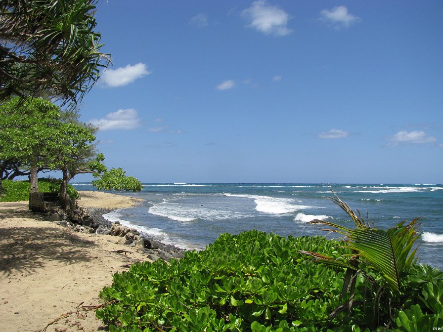 Tour de l'île côte est et le centre