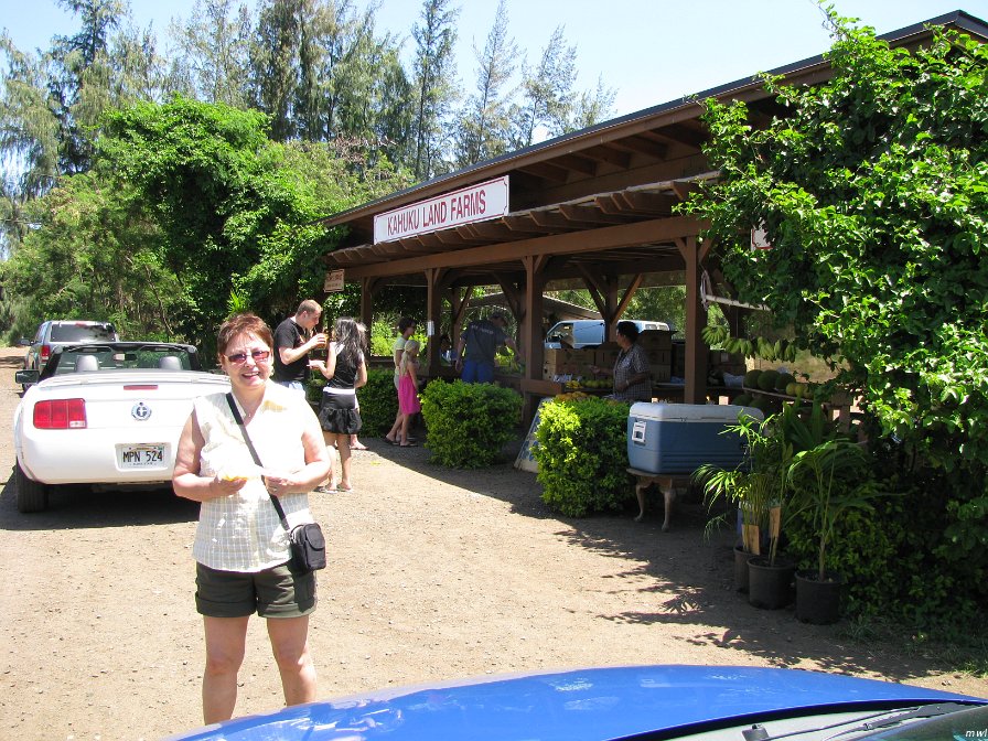 Tour de l'île côte est et le centre