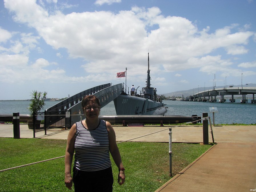 Visite du port Pearl Harbor