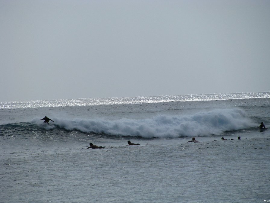 Visite de la côte occidentale de Oahu