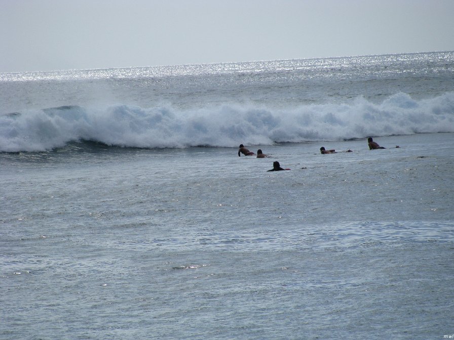 Visite de la côte occidentale de Oahu