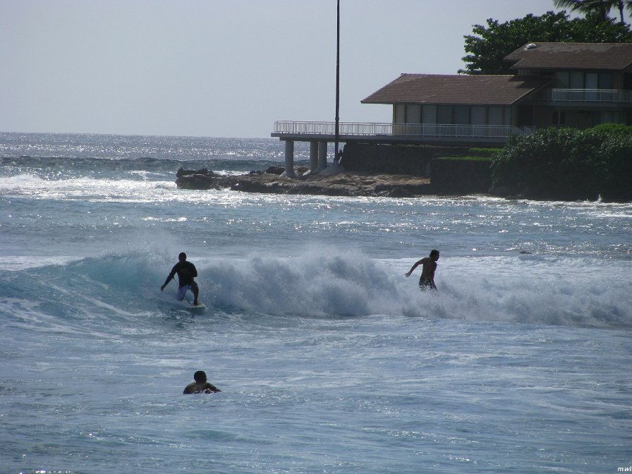 Visite de la côte occidentale de Oahu