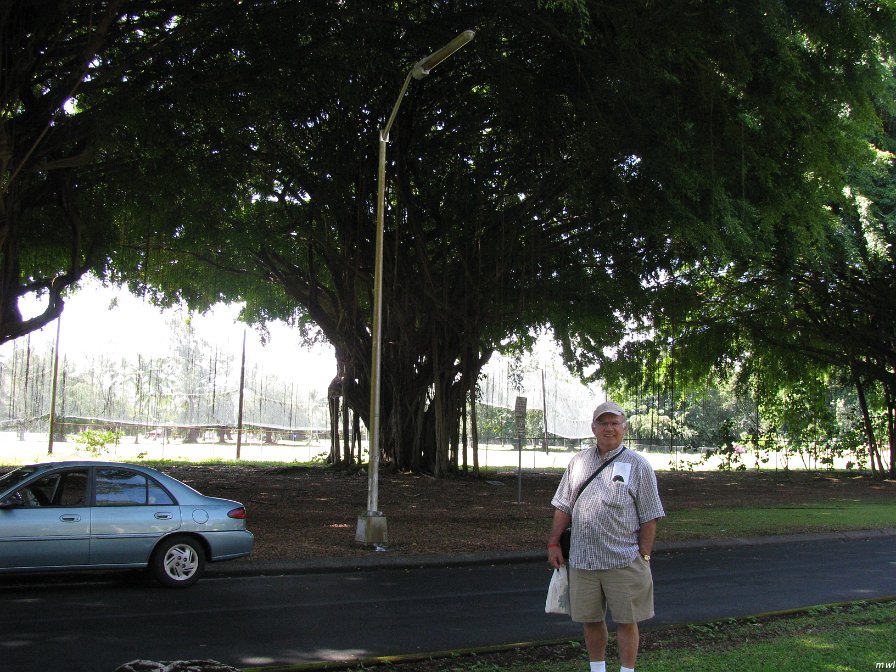 Hilo sur l'île d'Hawaii