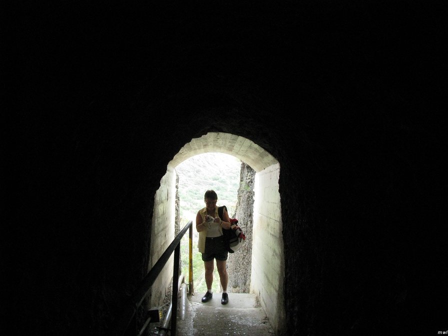 Visite du cratère Diamond Head