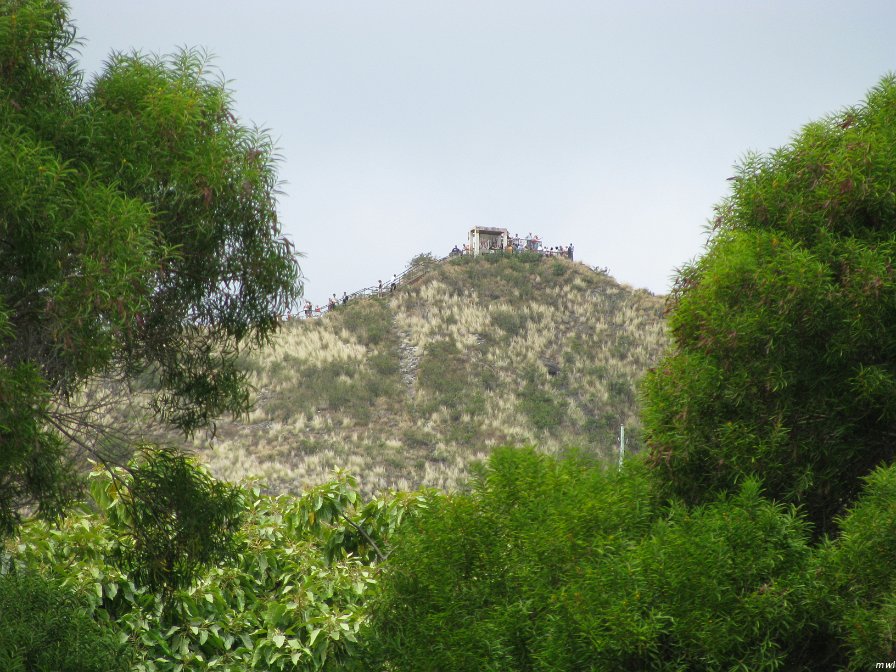 Visite du cratère Diamond Head