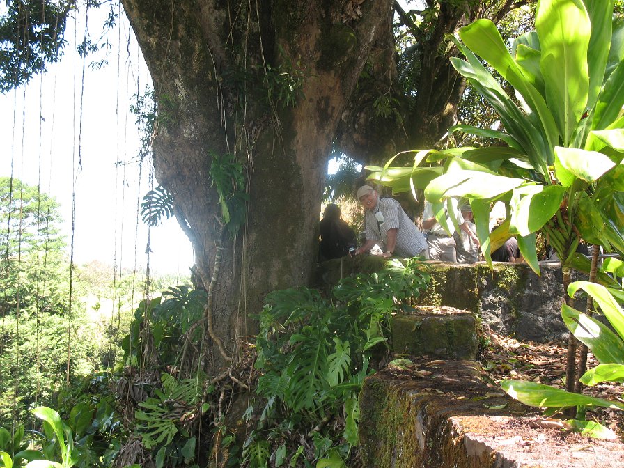 Visite de Big Island