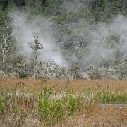 Visite des îles et des volcans de Big Island