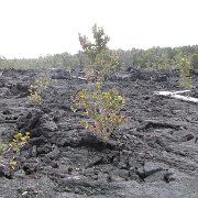 Visite des îles et des volcans de Big Island
