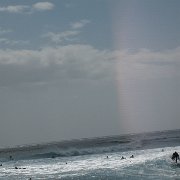 Visite de la côte occidentale de Oahu